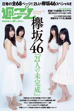 电视剧家的n次方全集